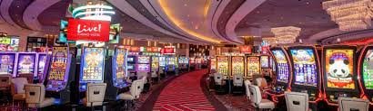 ফোনে লাইভ টেবিল তথ্য পড়ার অভিজ্ঞতা
